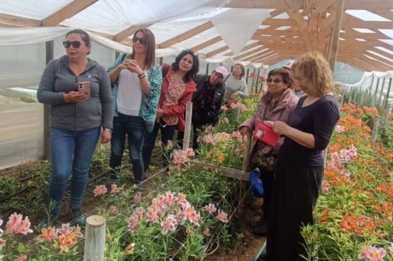 Productores de Ránquil, Coelemu y Trehuaco conocieron experiencias de éxito en Quillón
