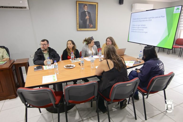 Consejo de Seguridad dio a conocer priorización de delitos en Quillón