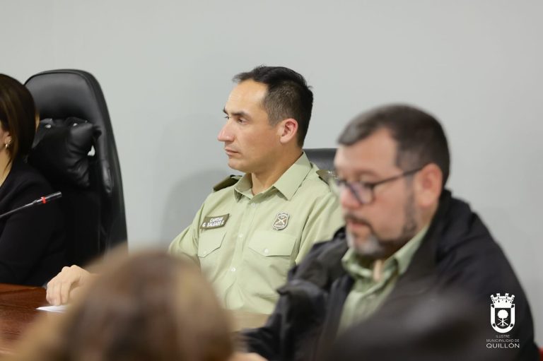 Consejo de Seguridad dio a conocer priorización de delitos en Quillón