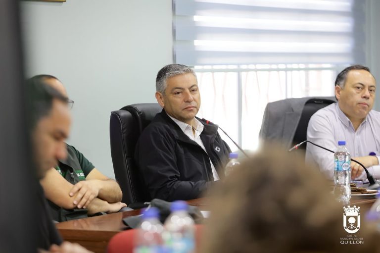 Consejo de Seguridad dio a conocer priorización de delitos en Quillón