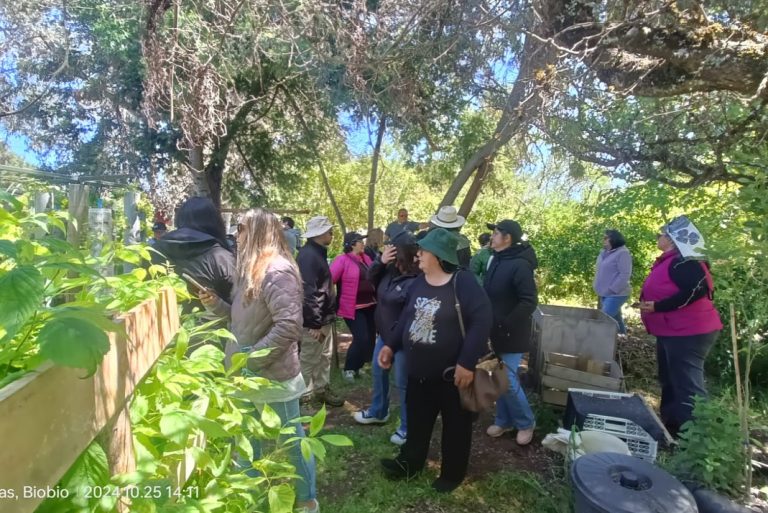 Productores quilloninos aprendieron técnicas de agroecología en Yumbel