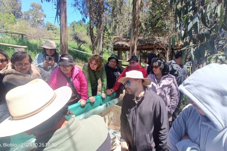 Productores quilloninos aprendieron técnicas de agroecología en Yumbel