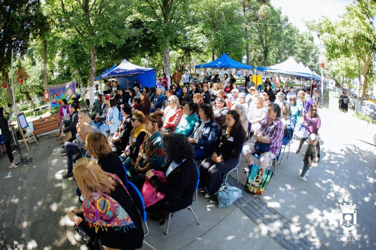 70 mujeres de Quillón se certificaron en técnicas de vellón y arpillera