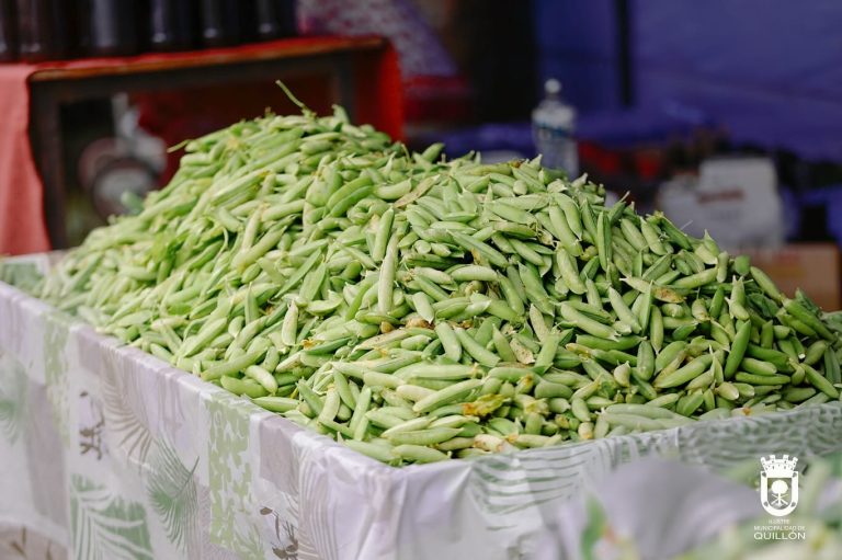 Más de mil platos se vendieron en Chancal durante en la Fiesta del Arvejado de Campo