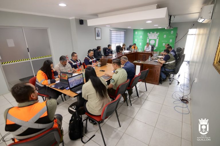 Segunda sesión de Cogrid preventivo convocó a instituciones públicas y privadas en Quillón