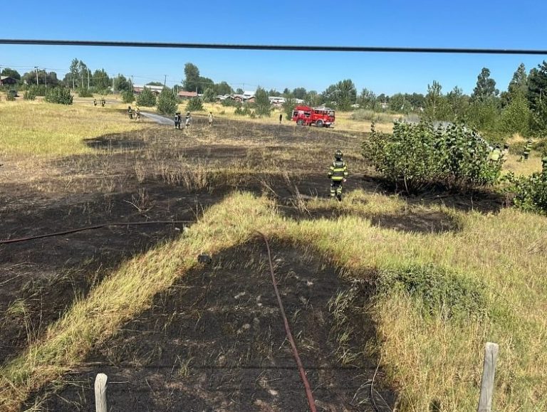 Municipio de Quillón reforzó medidas preventivas contra incendios en pastizales