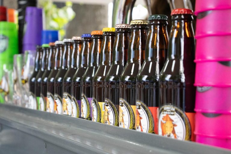 El pasado sábado 4 y domingo 5 de enero, el balneario municipal de Quillón se transformó en un escenario de fantasía para recibir a miles de visitantes en el Festival Cervecería de Westeros