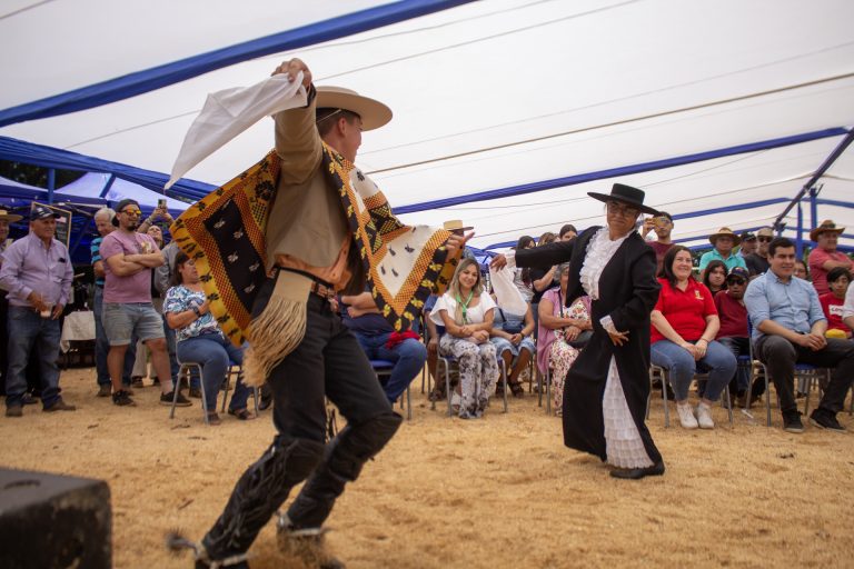 Fiesta de la cosecha del trigo en Peñablanca: un homenaje vivo a las tradiciones campesinas