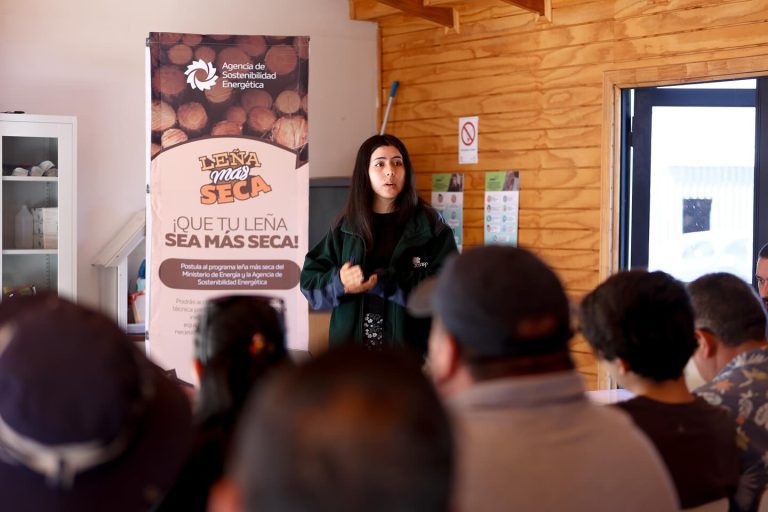 ODEL de Quillón impulsa capacitación a productores de leña junto a la Seremi de energía y CONAF