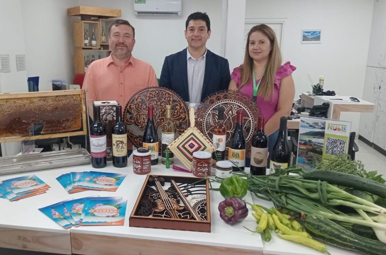 Quillón se prepara para la XVI versión de la Feria Agroturística