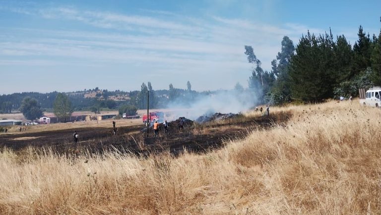 Bomberos y CONAF logran evitar que incendio en Liucura Alto afecte viviendas