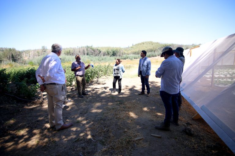 Innovación y compromiso en la agricultura local