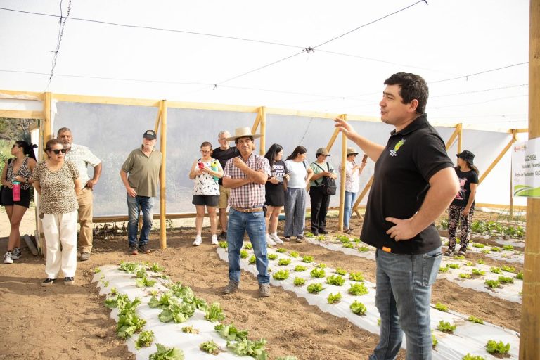 Día de campo en Quillón reunió a agricultores y autoridades en torno a la casa de sombra.