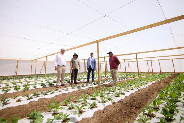 Innovación y compromiso en la agricultura local