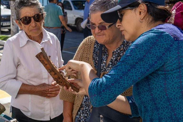 En Quillón: INIA Ñuble impulsa la introducción de nuevas especies frutales en la región