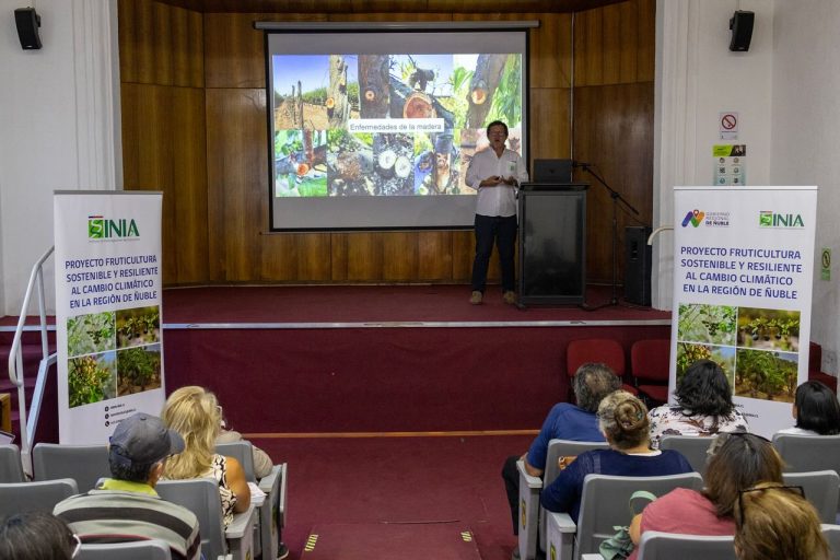 En Quillón: INIA Ñuble impulsa la introducción de nuevas especies frutales en la región