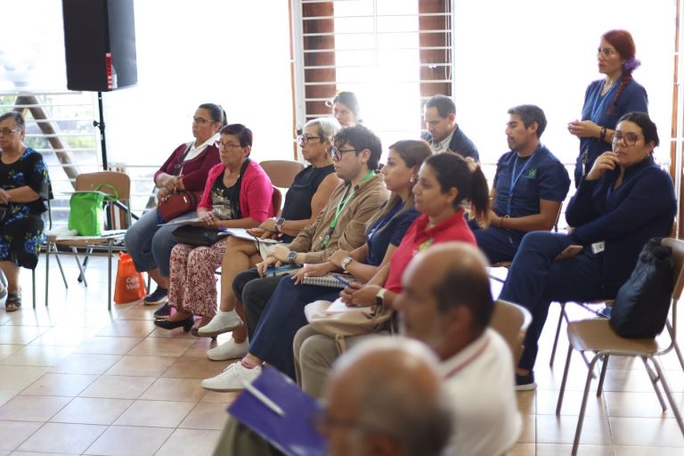 Primera sesión del Consejo Comunal de Salud de Quillón en la biblioteca municipal