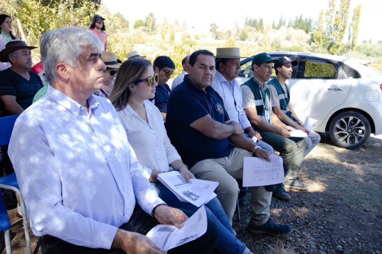 Agricultores de Quillón se capacitan para potenciar la producción de uva sin pepa