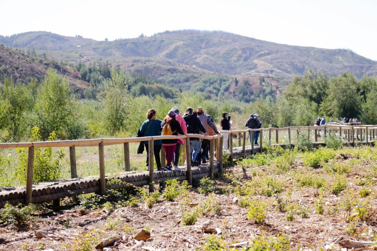 Celebrando la felicidad con nuestros adultos mayores