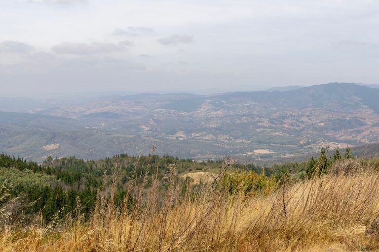 En lo alto del Cerro Cayumanqui, donde la historia y la naturaleza se funden, comienza a tomar forma un sueño.