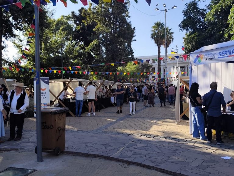 Quillón se hace presente en la Santa Vendimia de Ñuñoa