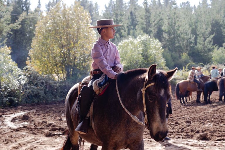 Más de 100 jinetes llegaron hasta Talcamo este sábado para ser parte de una hermosa cabalgata rural