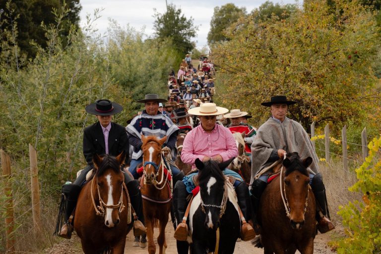 Más de 100 jinetes llegaron hasta Talcamo este sábado para ser parte de una hermosa cabalgata rural