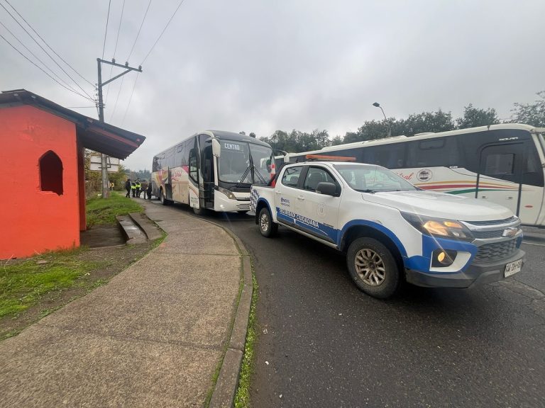 Este jueves se logró detener a dos sujetos que asaltaron a un repartidor de quesos San Ignacio en Quillón