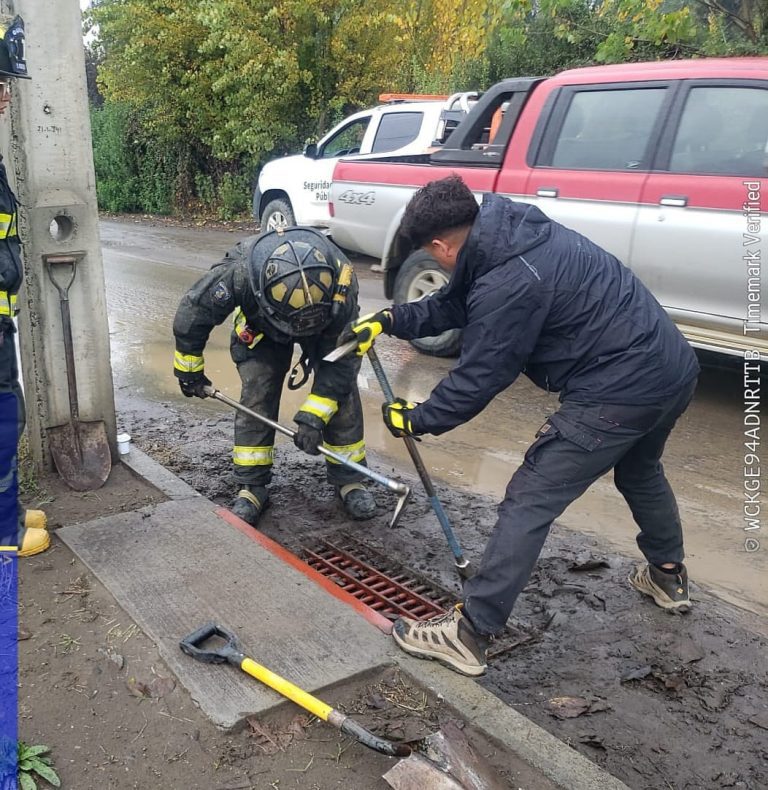 Rescatan a gato desde desagüe de aguas lluvias en Villa Lago Avendaño de Quillón