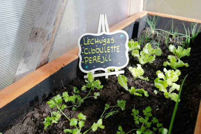 Desde la Municipalidad de Quillón estamos felices de contarles que ya inauguramos “El Rinconcito Sustentable” en la Sala Cuna y Jardín Infantil Rayitos de Amor.