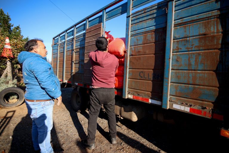 Acompañamos a nuestras vecinas y vecinos del sector rural en una nueva entrega de maíz para forraje, esta vez en la sede vecinal de El Peley