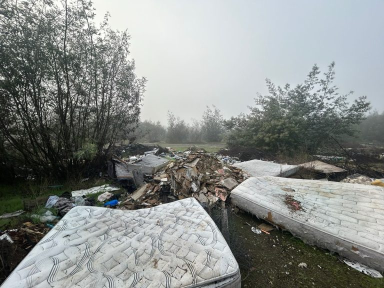 Intervenimos foco de insalubridad en Balsa de Cerro Negro: aquí te mostramos el antes y el después