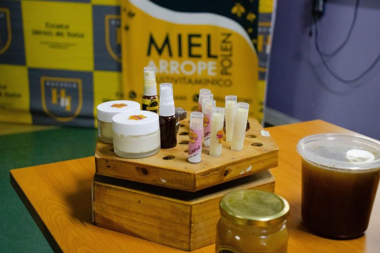Niños y niñas de la Escuela Héroes del Itata aprendieron sobre el mundo de las abejas