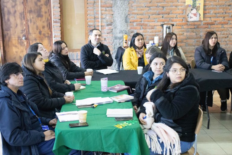Se llevó a cabo la tercera Mesa de Articulación Interinstitucional en nuestra comuna, liderada por la Oficina Local de la Niñez (OLN)