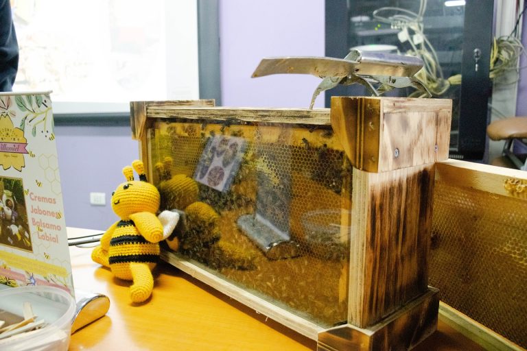 Niños y niñas de la Escuela Héroes del Itata aprendieron sobre el mundo de las abejas
