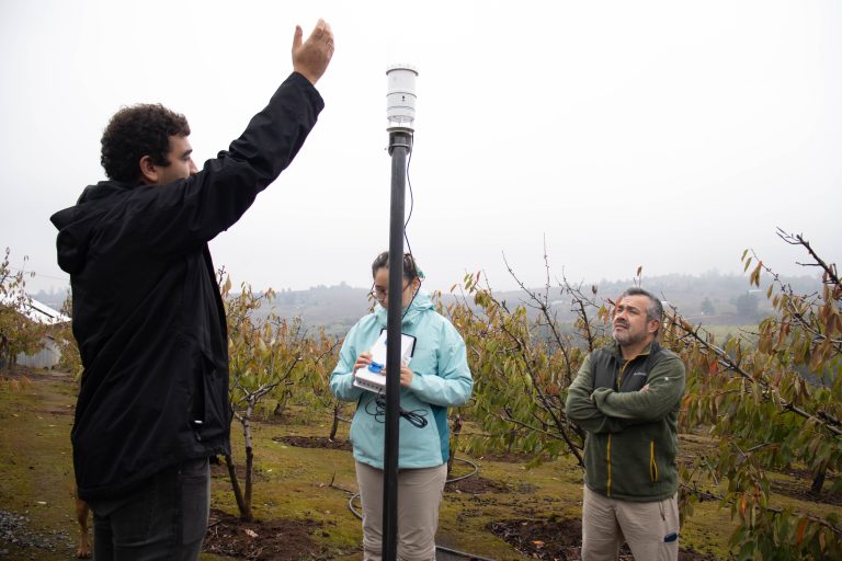 Más de 60 agricultores de quillón ya se benefician con tecnología climática de punta para cultivo de cereza