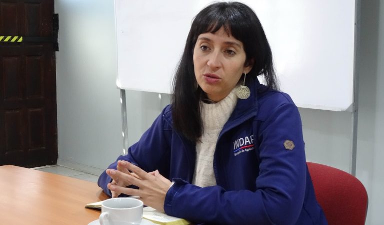 Hoy recibimos a Fernanda Azócar, directora regional de INDAP Ñuble, en una reunión junto a Patricia Zambrano, jefa del área INDAP Bulnes-Quillón
