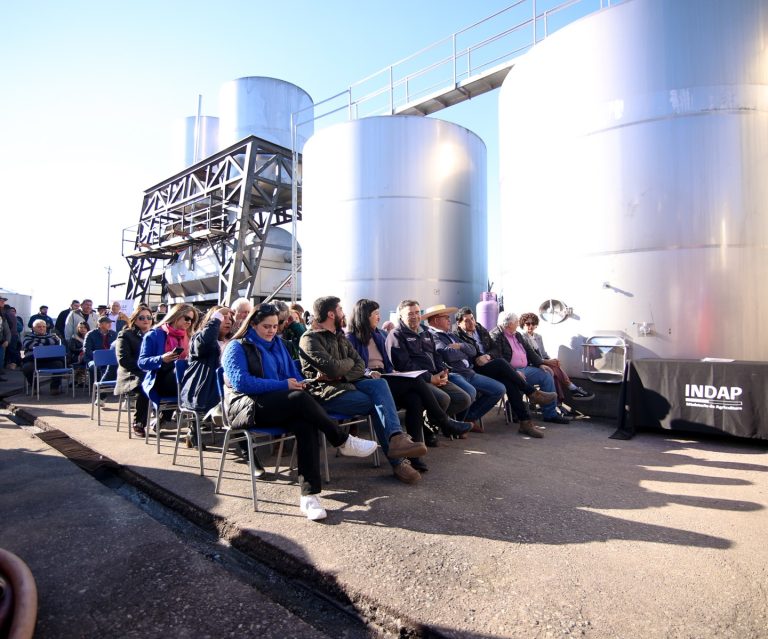 Cooperativa Agrícola y Vitivinícola Cerro Negro, COOVICEN, cerró su temporada de vendimias con firma de una Alianza Productiva entre INDAP Ñuble y la cooperativa