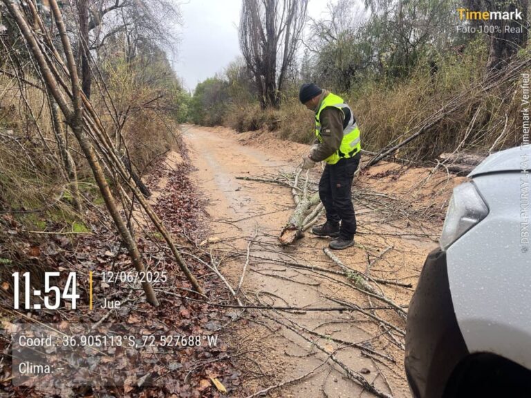 En el marco del frente de mal tiempo que enfrentamos hoy, todos nuestros equipos municipales han estado desplegados en terreno a lo largo y ancho de la comuna