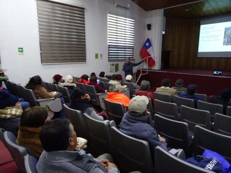 Capacitación para pequeños viñateros del PRODESAL de Quillón.
