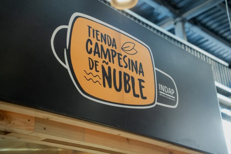 Quillón Dice Presente en el Comercio Digital Campesino
