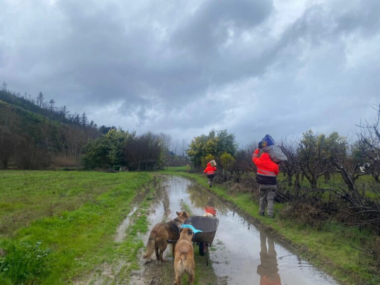 Seguimos en terreno acompañando a nuestra comunidad