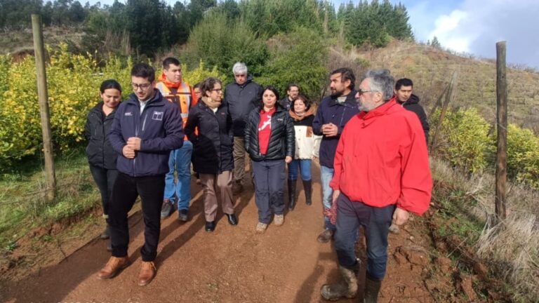 Ministra de medio ambiente visitó Quillón para conocer avances en restauración del Cerro Cayumanqui