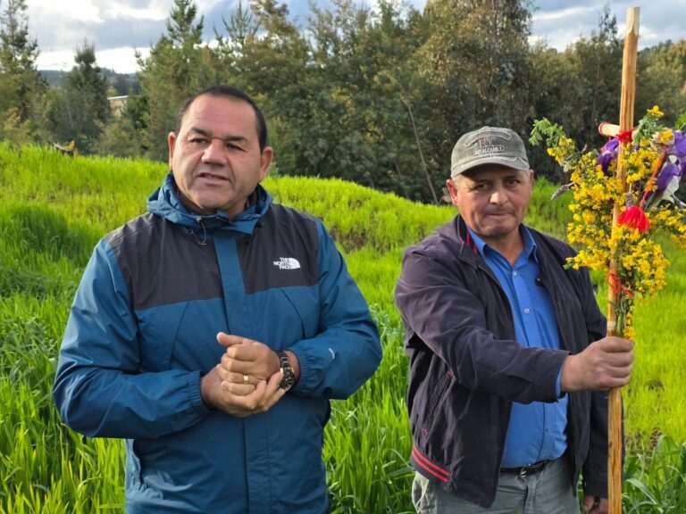 Mantenemos viva la tradición de la “Cruz del Trigo” en La Gloria