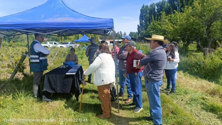 Día de campo mostró nuevas tecnologías para los viñateros de Quillón