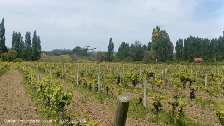 Día de campo mostró nuevas tecnologías para los viñateros de Quillón