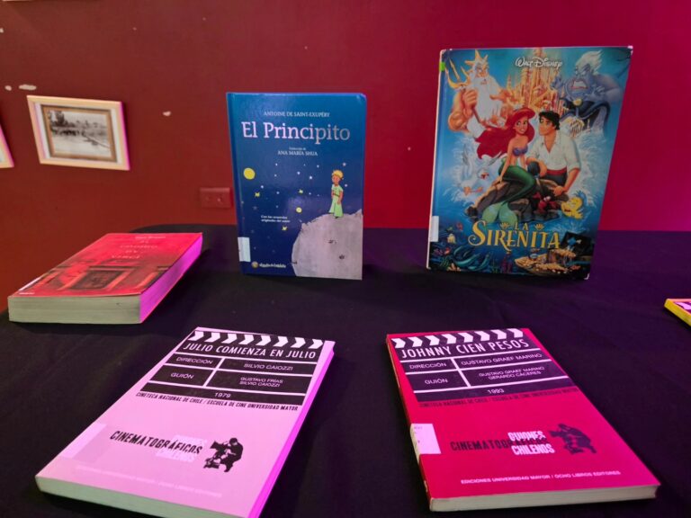 QUILLÓN CELEBRA 48 AÑOS DE SU BIBLIOTECA CON UNA NOCHE DE MUSEOS
