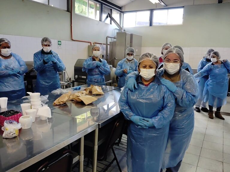 MUJERES JEFAS DE HOGAR FORTALECEN SUS EMPRENDIMIENTOS GRACIAS A ALIANZA CON LA UNIVERSIDAD DEL BIOBÍO