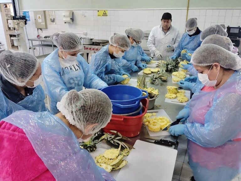 MUJERES JEFAS DE HOGAR FORTALECEN SUS EMPRENDIMIENTOS GRACIAS A ALIANZA CON LA UNIVERSIDAD DEL BIOBÍO