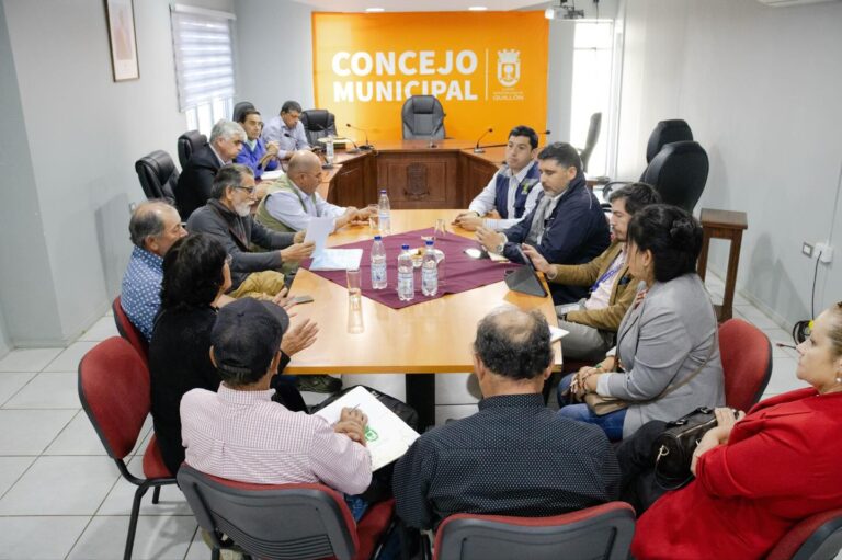 Reunión por pavimentación Huenucheo – Liucura Bajo